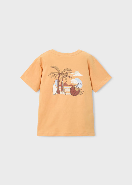 Conjunto de 2pcs camisa de monito y short