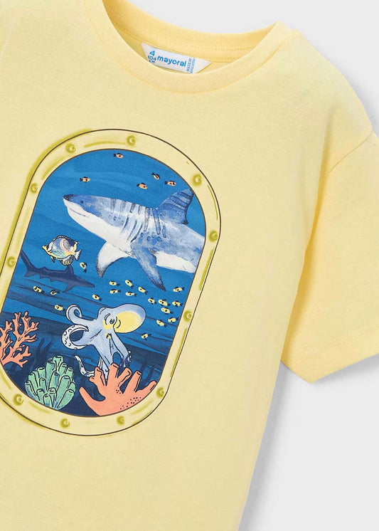 Camiseta