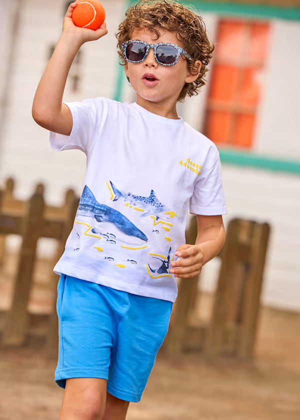 Conjunto niño grande de tiburón