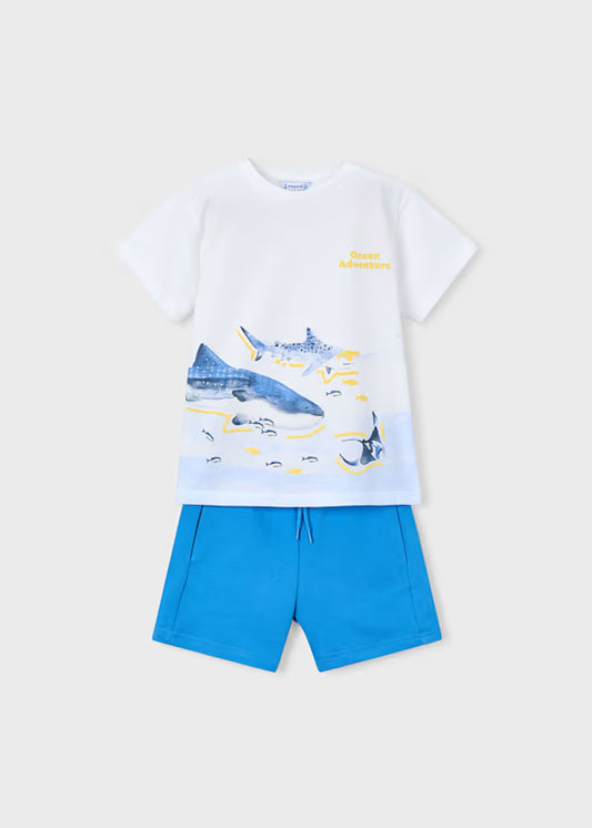 Conjunto niño grande de tiburón