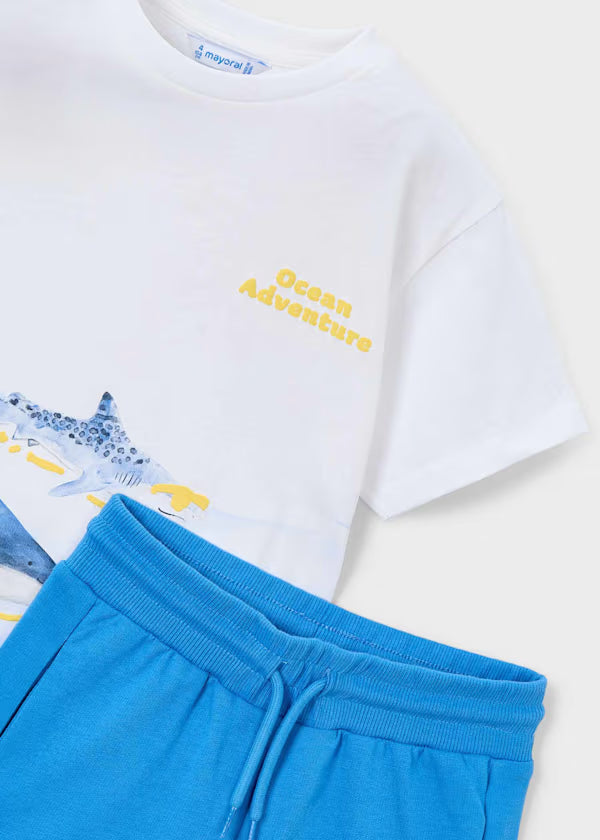 Conjunto niño grande de tiburón