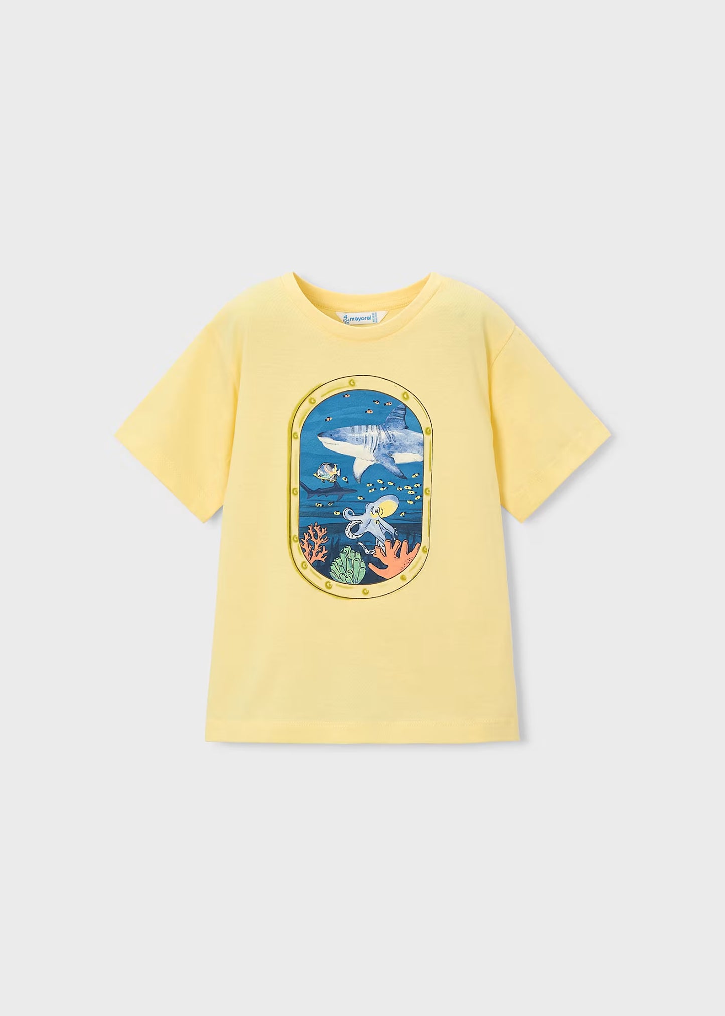 Camiseta