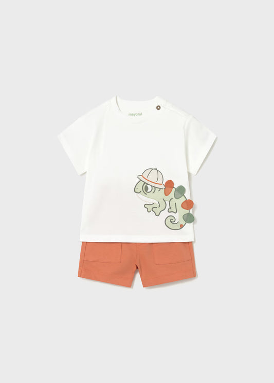Conjunto de 2pcs