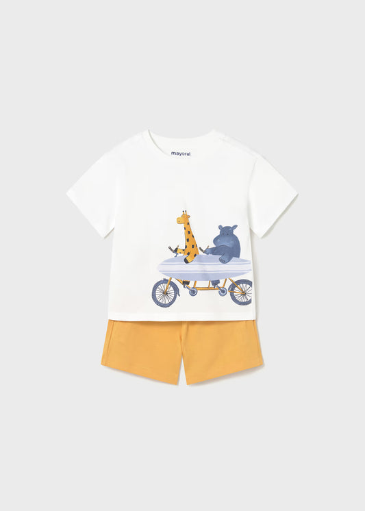 Conjunto de 2pcs